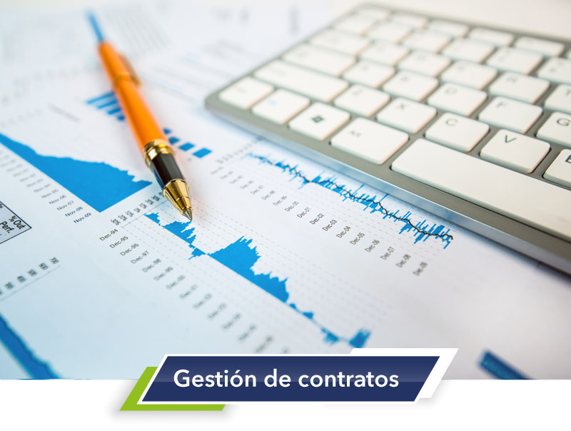 Consultoría